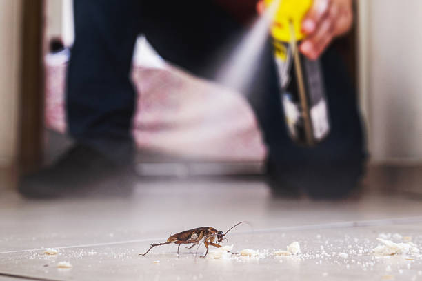 Best Pest Control for Businesses  in Saratoga Springs, UT